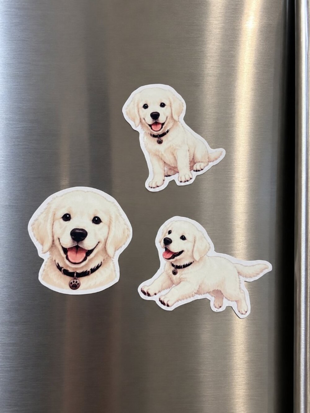 3 Golden Retriever Puppy Dog Magnets Fridge Refrigerator Decor Dog Lover Gift